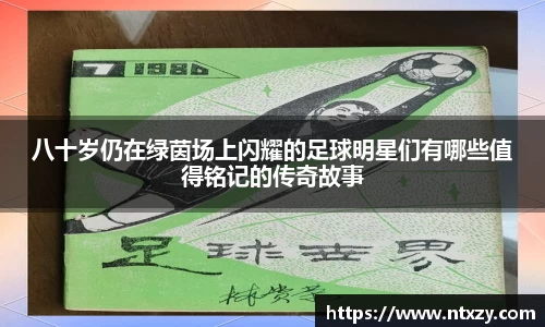 新莆京wns8888官方网站