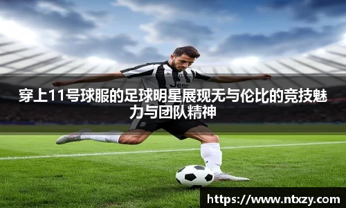 新莆京wns8888网址