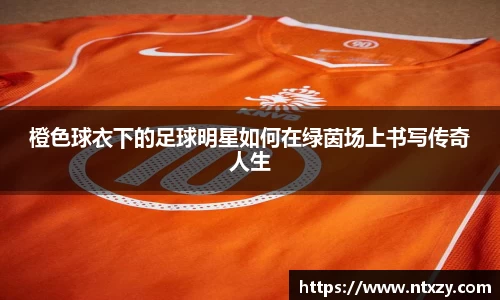 橙色球衣下的足球明星如何在绿茵场上书写传奇人生